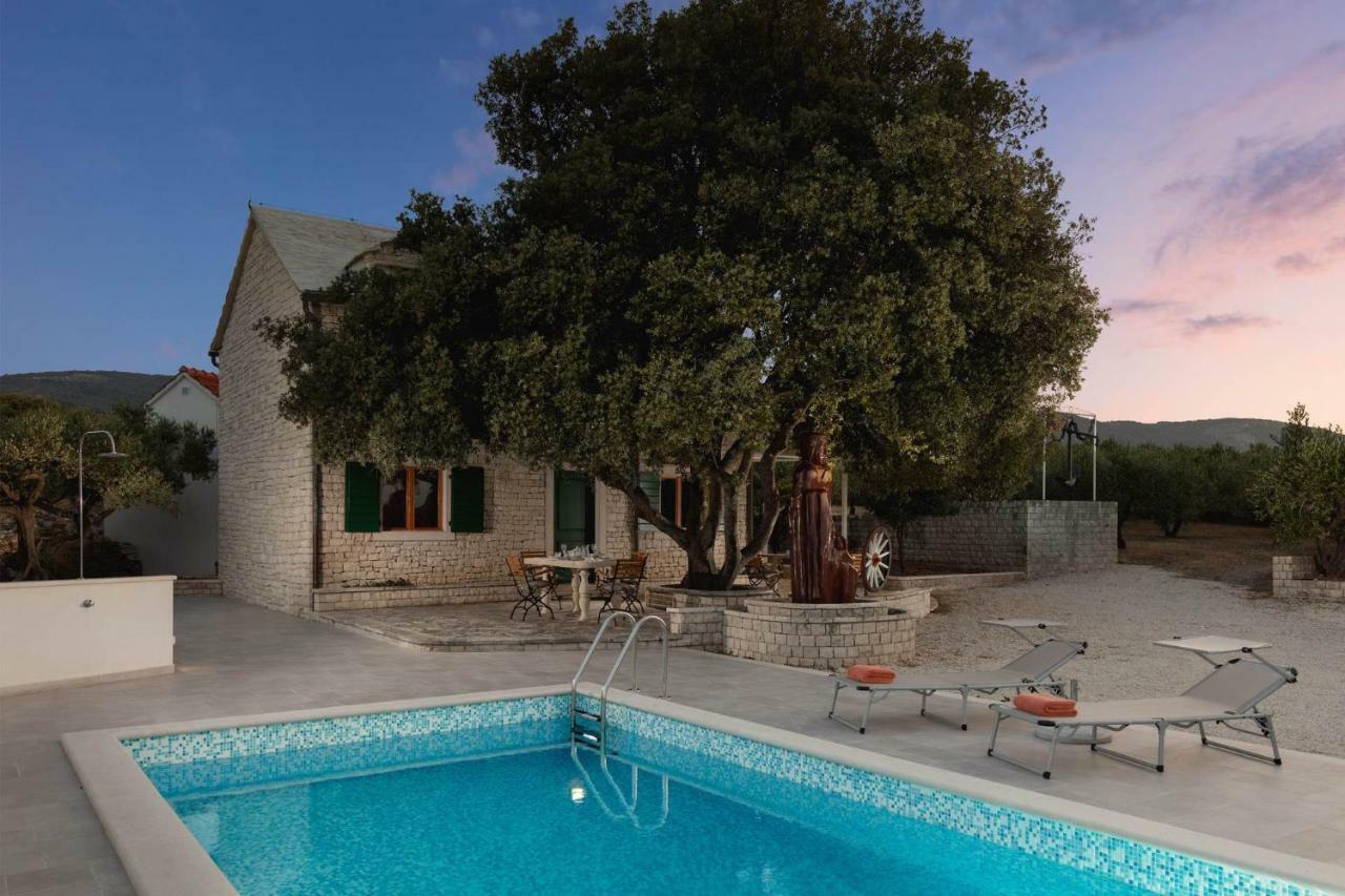 Villa Dubrava Tranquil Retreat Nestled In An Olive Grove For Serene Escapes Pucisca Exterior photo