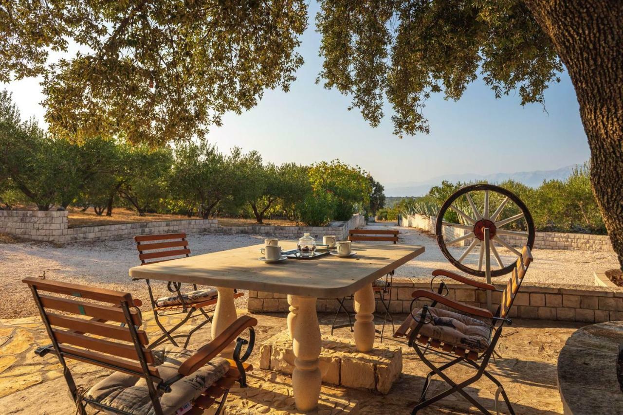 Villa Dubrava Tranquil Retreat Nestled In An Olive Grove For Serene Escapes Pucisca Exterior photo
