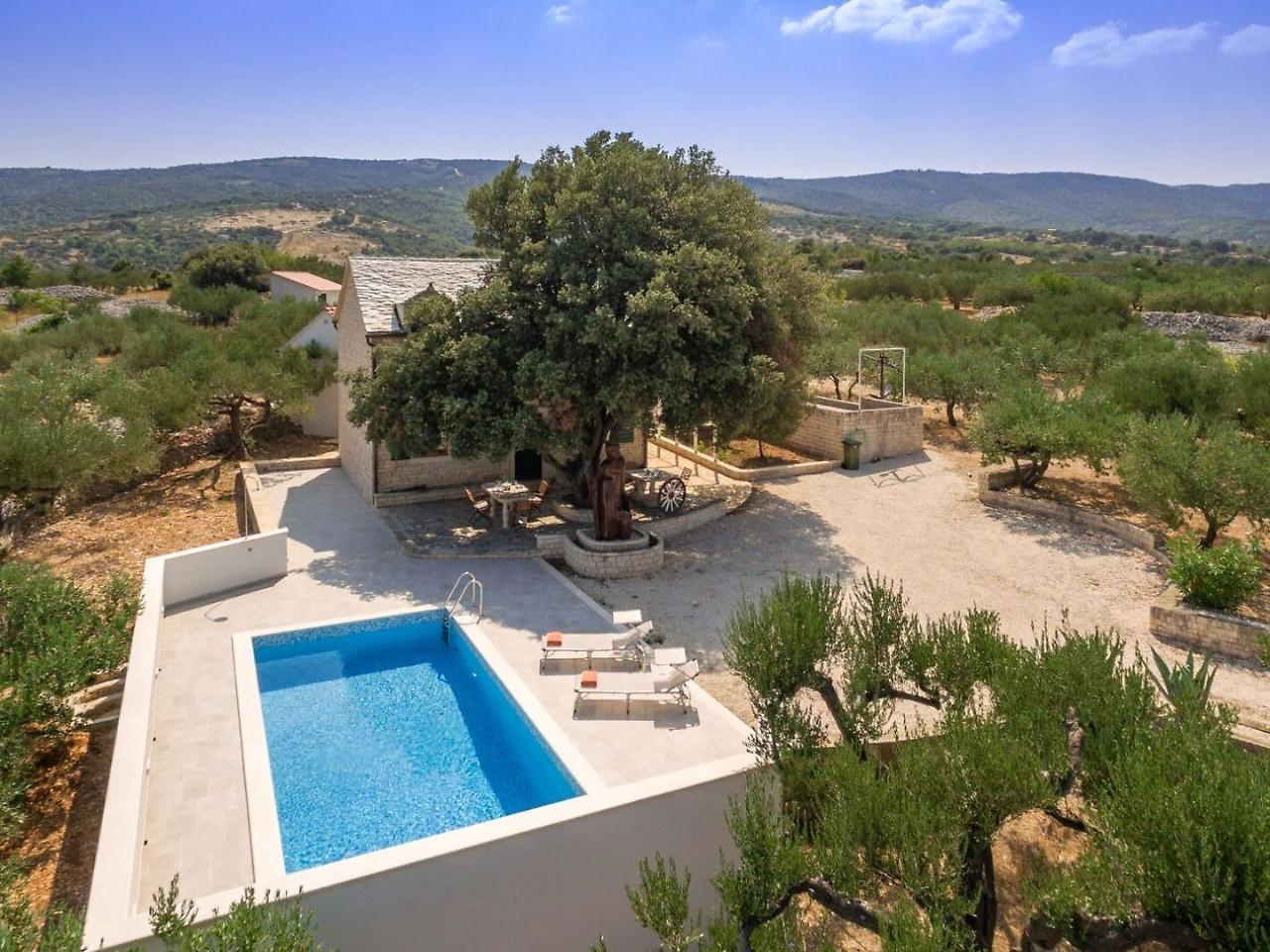 Villa Dubrava Tranquil Retreat Nestled In An Olive Grove For Serene Escapes Pucisca Exterior photo