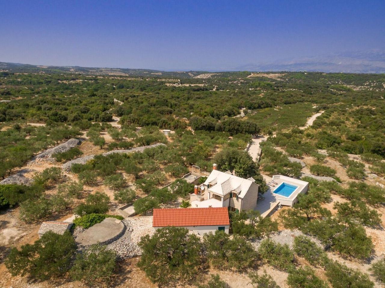 Villa Dubrava Tranquil Retreat Nestled In An Olive Grove For Serene Escapes Pucisca Exterior photo